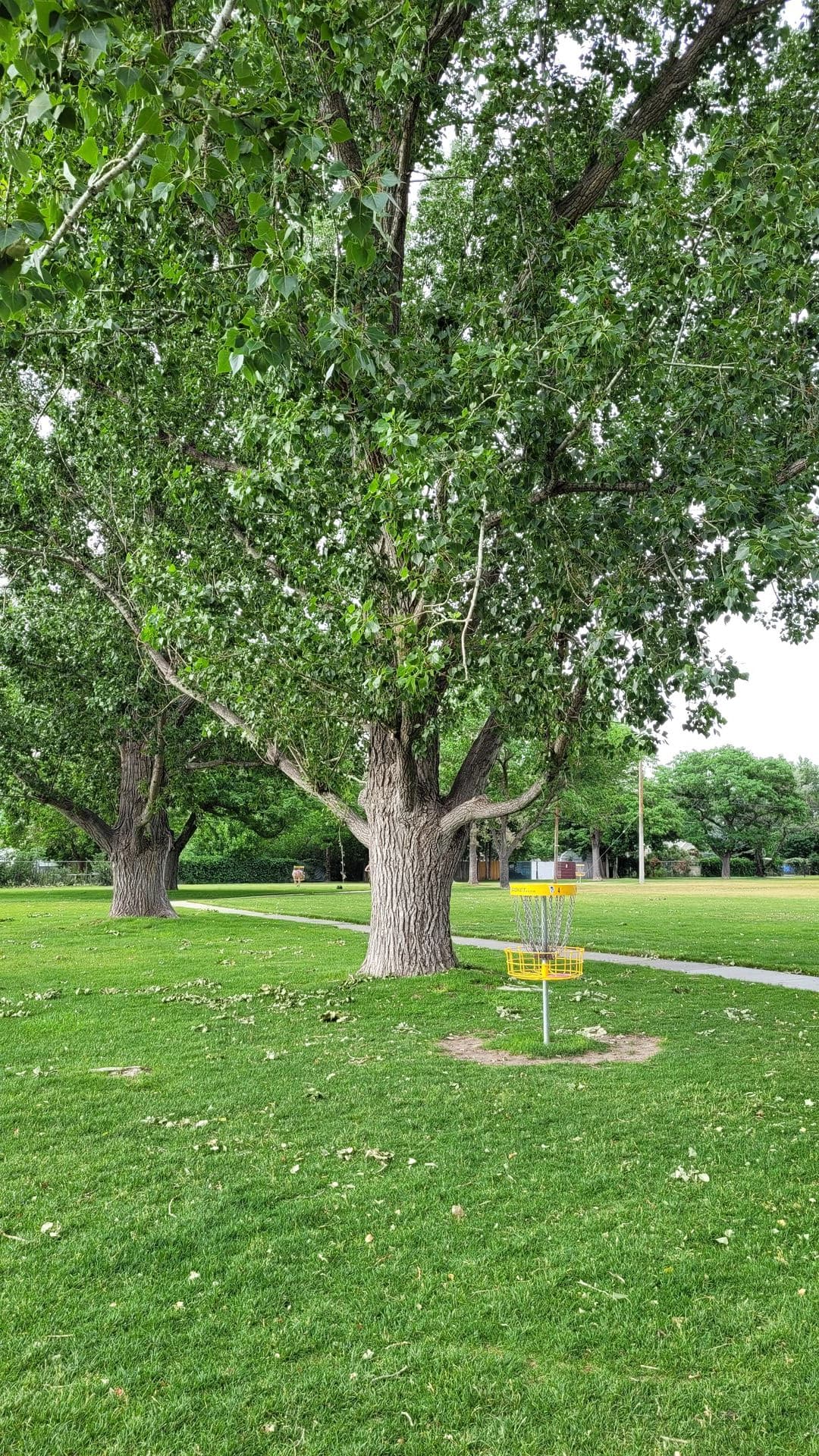 Disc On 6th