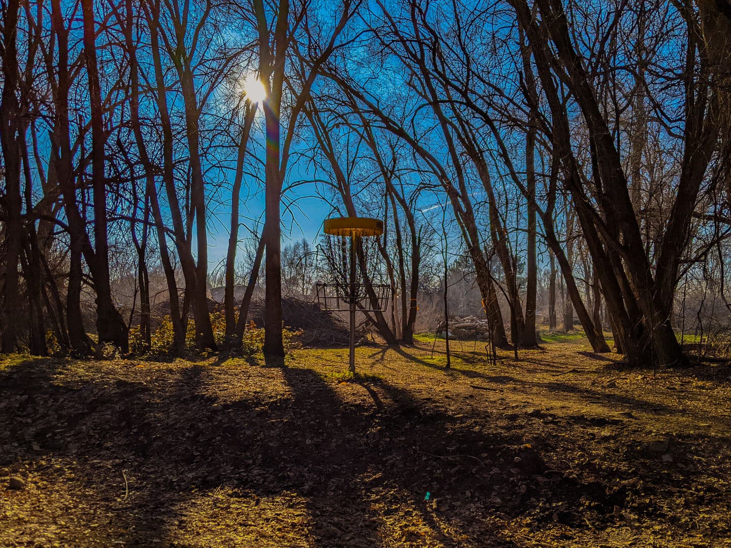Art Dye Disc Golf Park
