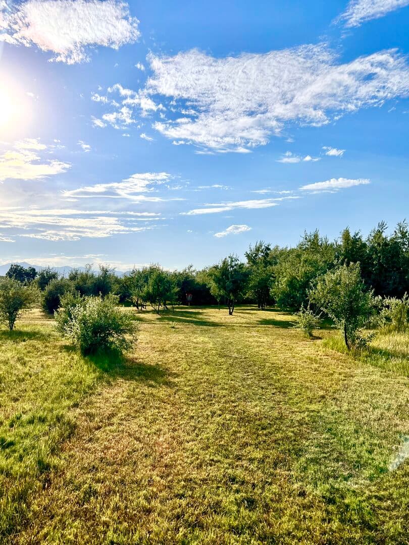 Dragonfly disc golf course in Lehi